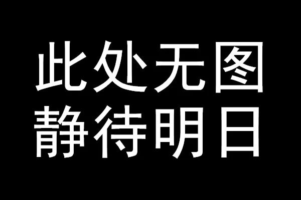 铝蜂窝板、碳纤维板做350k实物模拟测试